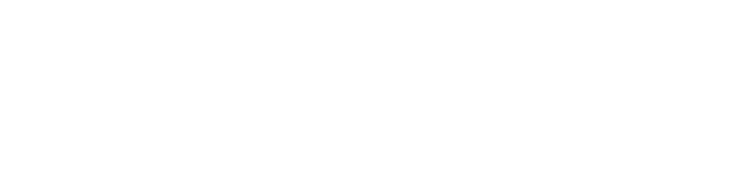 Soulseed Group